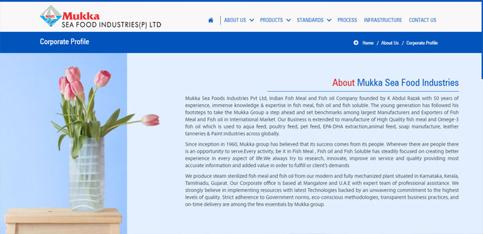 website designers in mysore